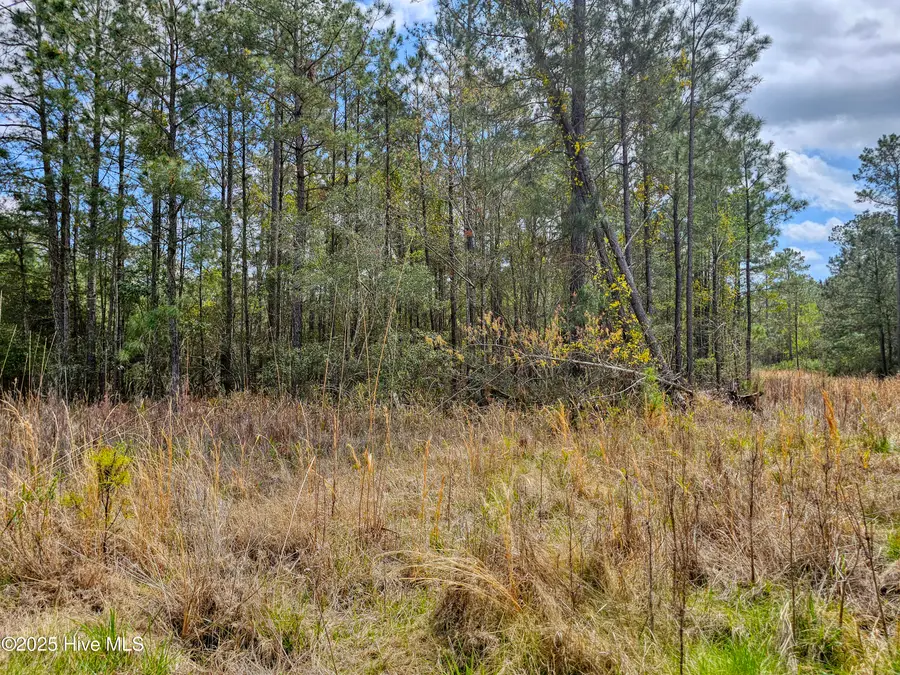 22 Sandy Point Road, Scranton, NC 27875 - Image #3