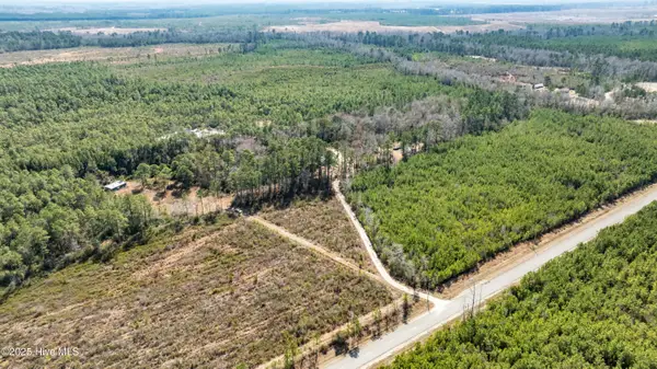 L4 Brown Heritage Road, Maple Hill, NC 28454