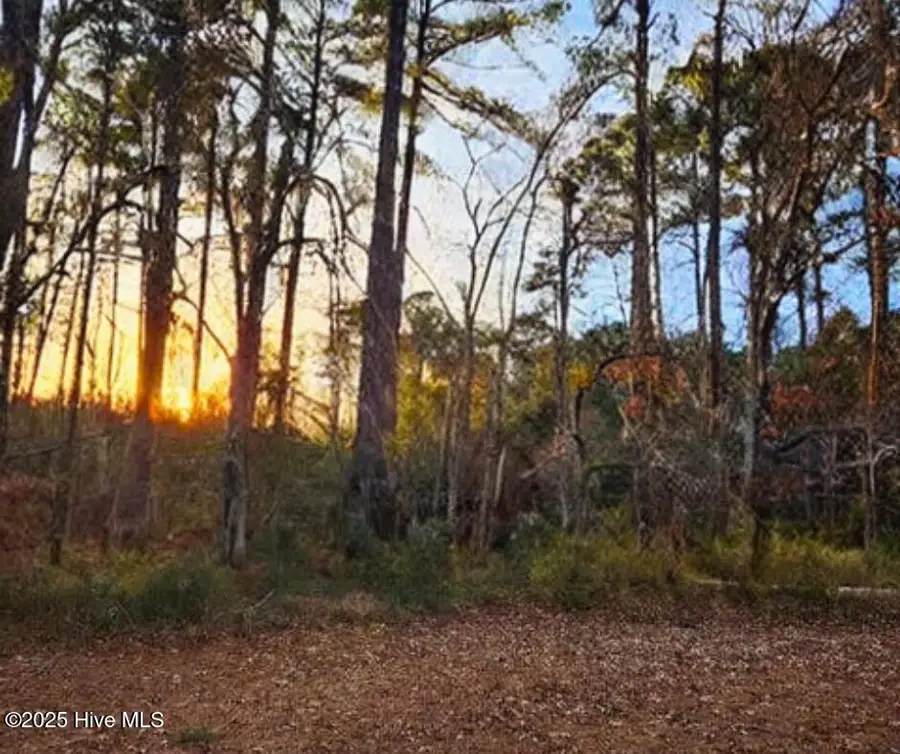 200 Hickory Street, Oriental, NC 28571 - Image #3