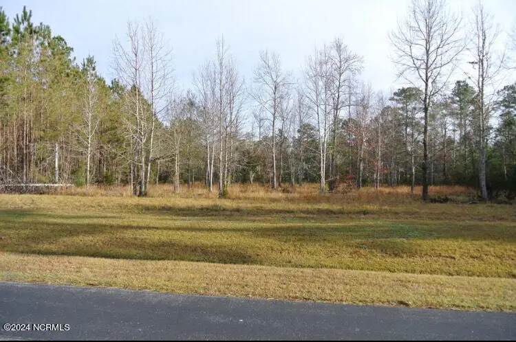 187 Garbacon Drive, Beaufort, NC 28516 - Image #2