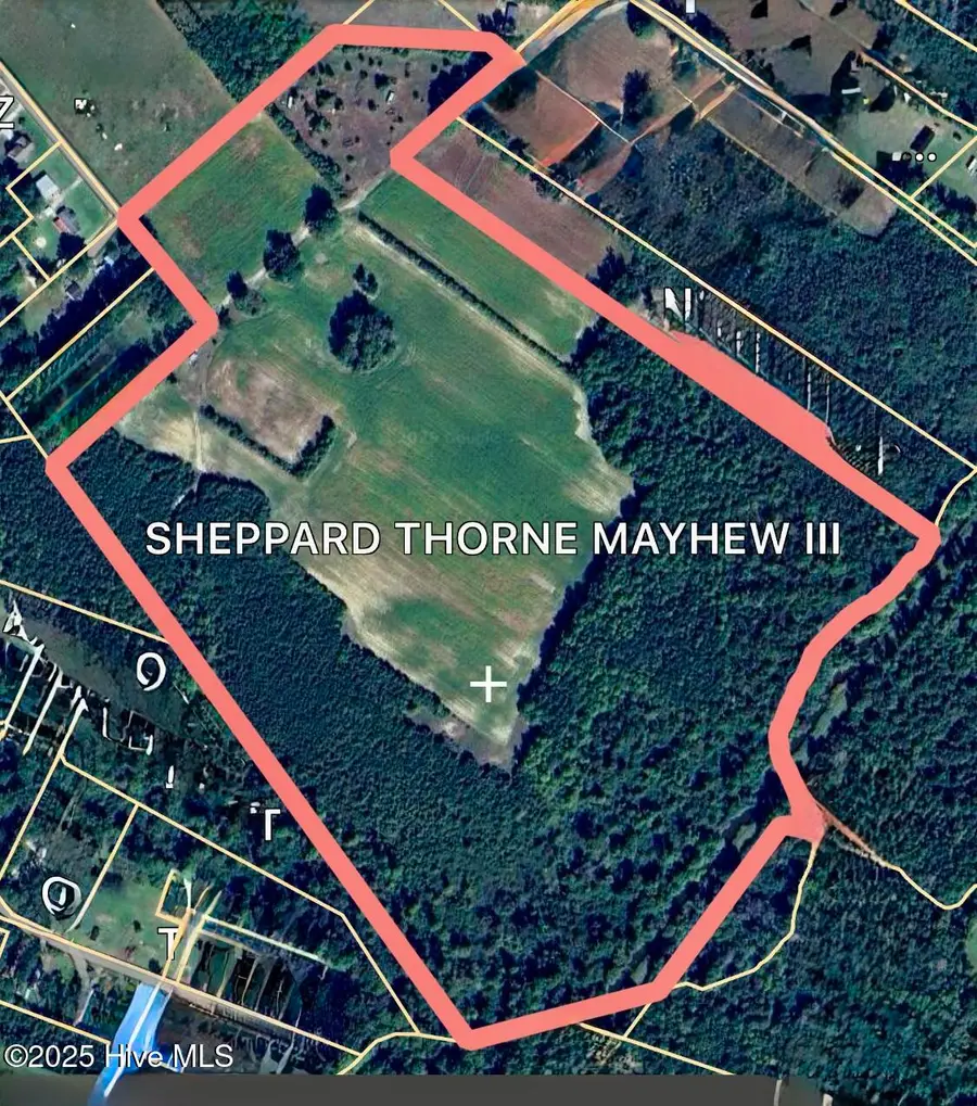 203 Lovick Lane, Washington, NC 27889 - Image #2