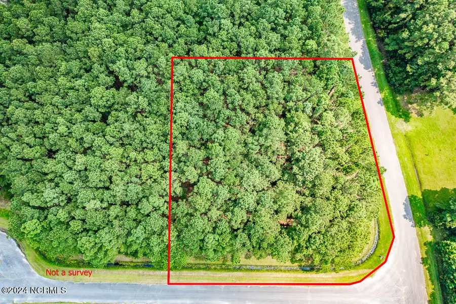 880 Arant Farm Road, Merritt, NC 28556 - Image #2