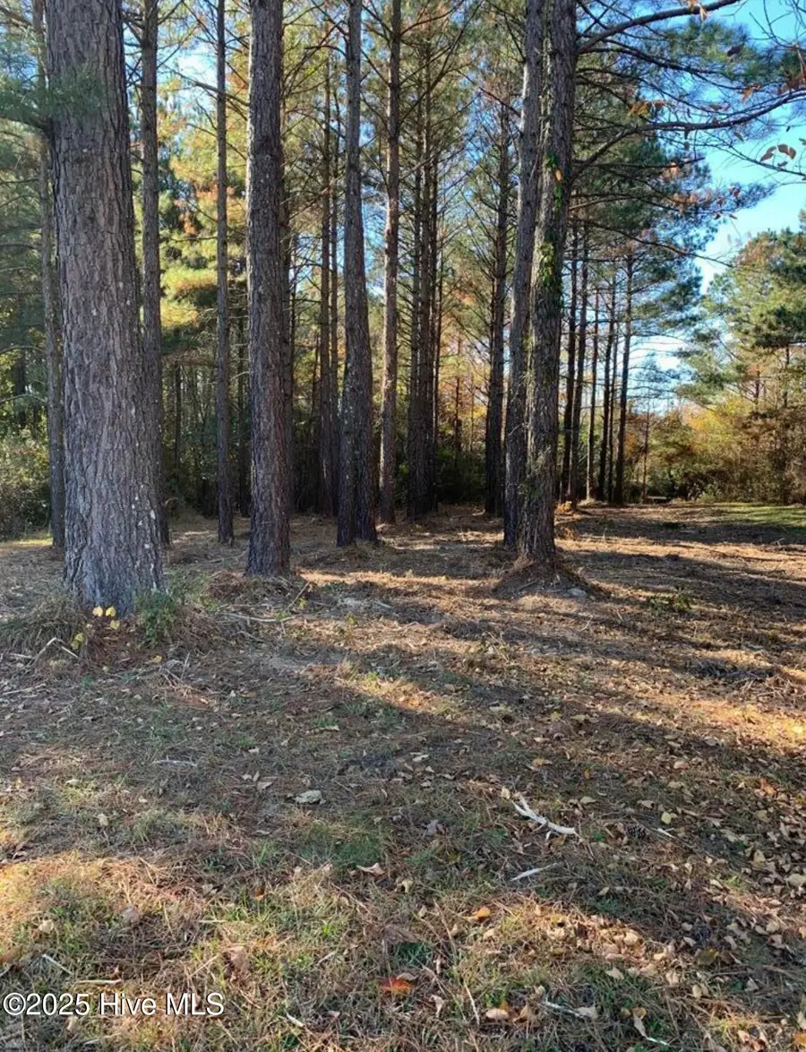 220 Colleton Court, Edenton, NC 27932 - Image #2