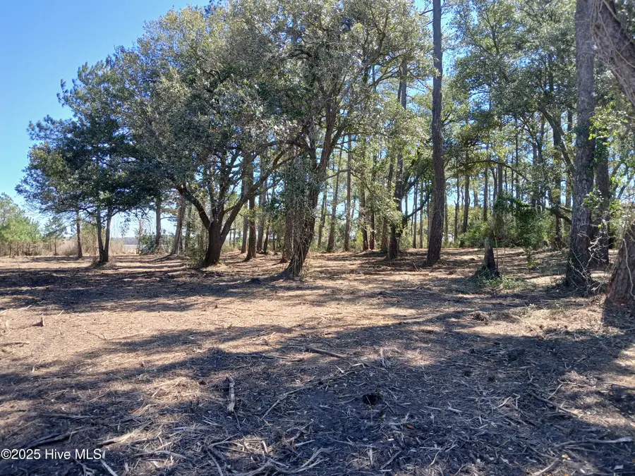 1 Live Oak Drive, Bayboro, NC 28515 - Image #3