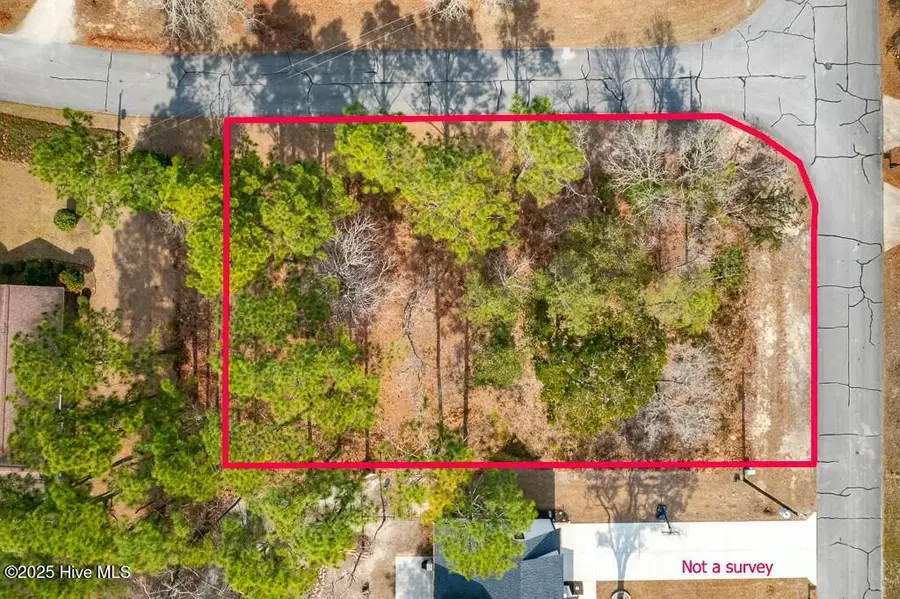 809 Crane Drive, New Bern, NC 28560 - Image #3