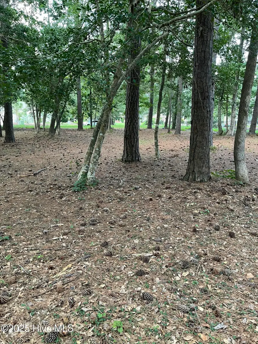 41 Oyster Pointe Drive, Sunset Beach, NC 28468 - Image #2