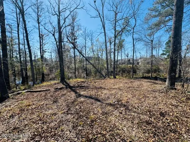 9011 River Glenn Loop Ne, Leland, NC 28451 - Image #2