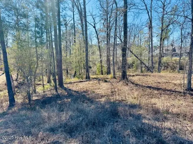 9011 River Glenn Loop Ne, Leland, NC 28451 - Image #3