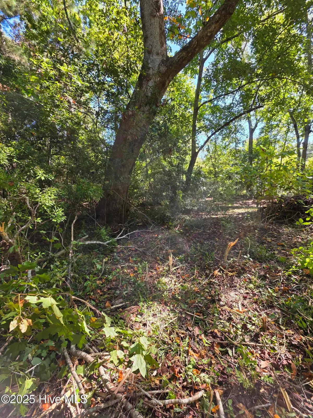 20 West High Bluff Drive, Hampstead, NC 28443 - #1