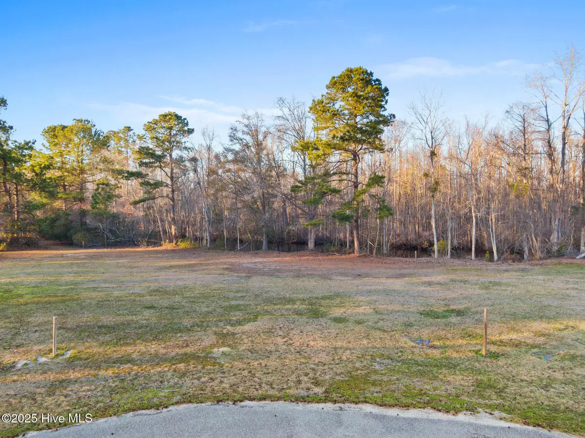 21 Big Creek Circle, Lake Waccamaw, NC 28450 - Image #1