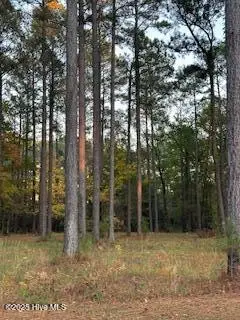 95 Corrolla Loop Road, Oriental, NC 28571 - Image #2