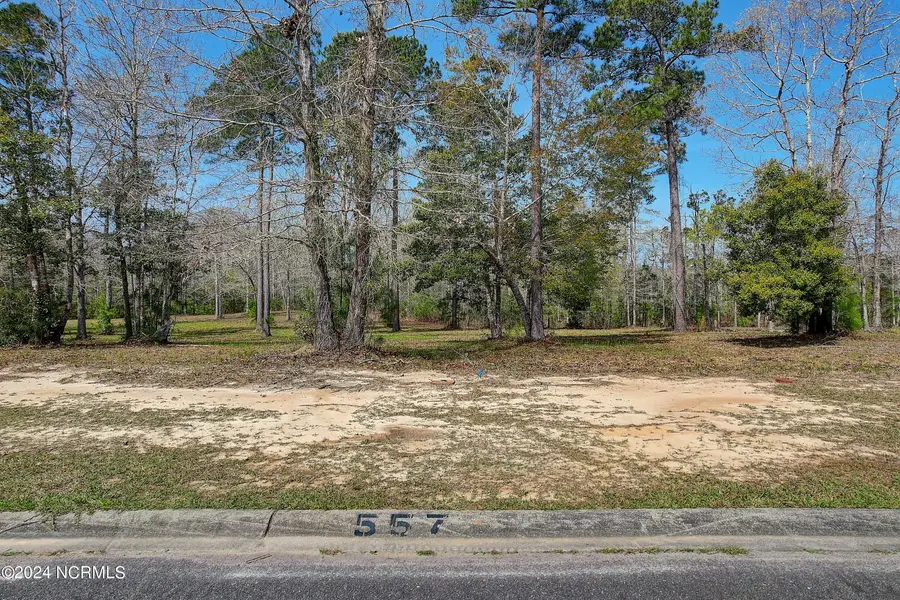 557 Sanctuary Point Sw, Supply, NC 28462 - #3