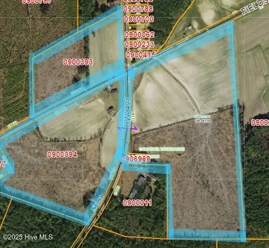 45 Speights Bridge Road, Walstonburg, NC 27888 - Image #1