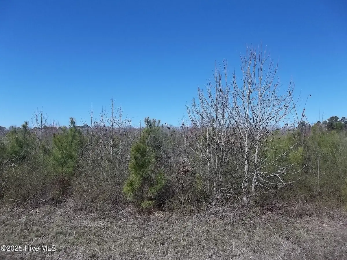 Lot #2 Boat Ramp Road, New Hope, NC 27944 - Image #1