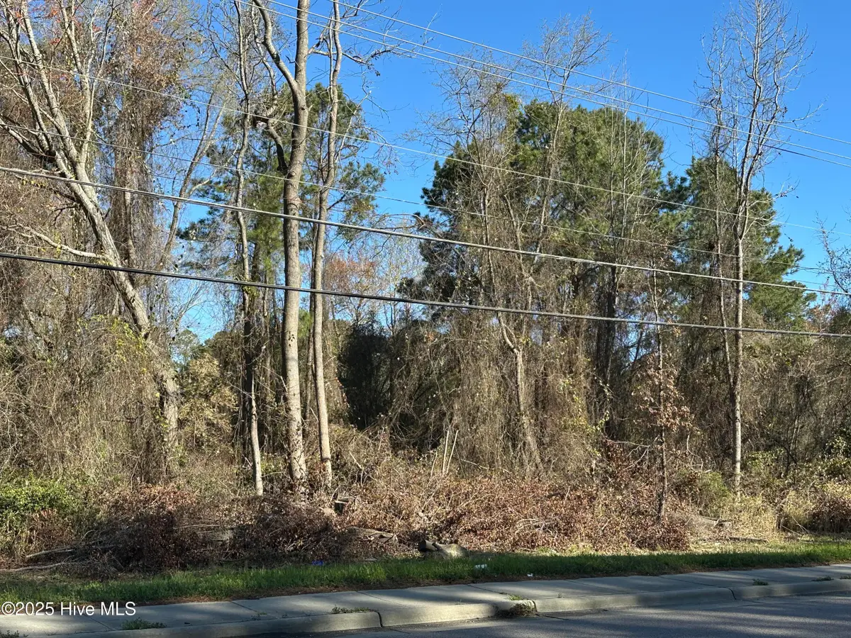 1507 N Berkeley Boulevard, Goldsboro, NC 27534 - Image #1