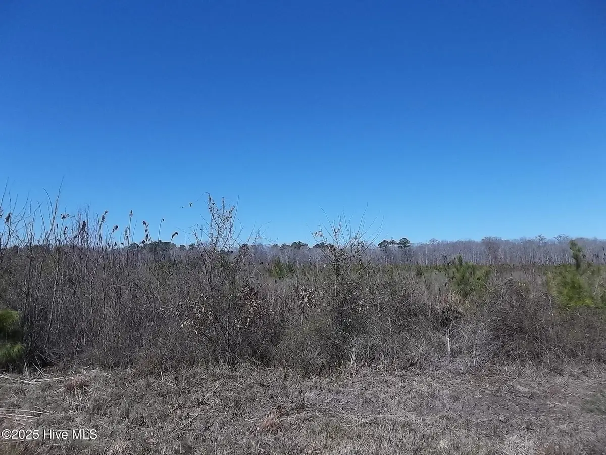 Lot# 4 Boat Ramp Road, New Hope, NC 27944 - Image #1