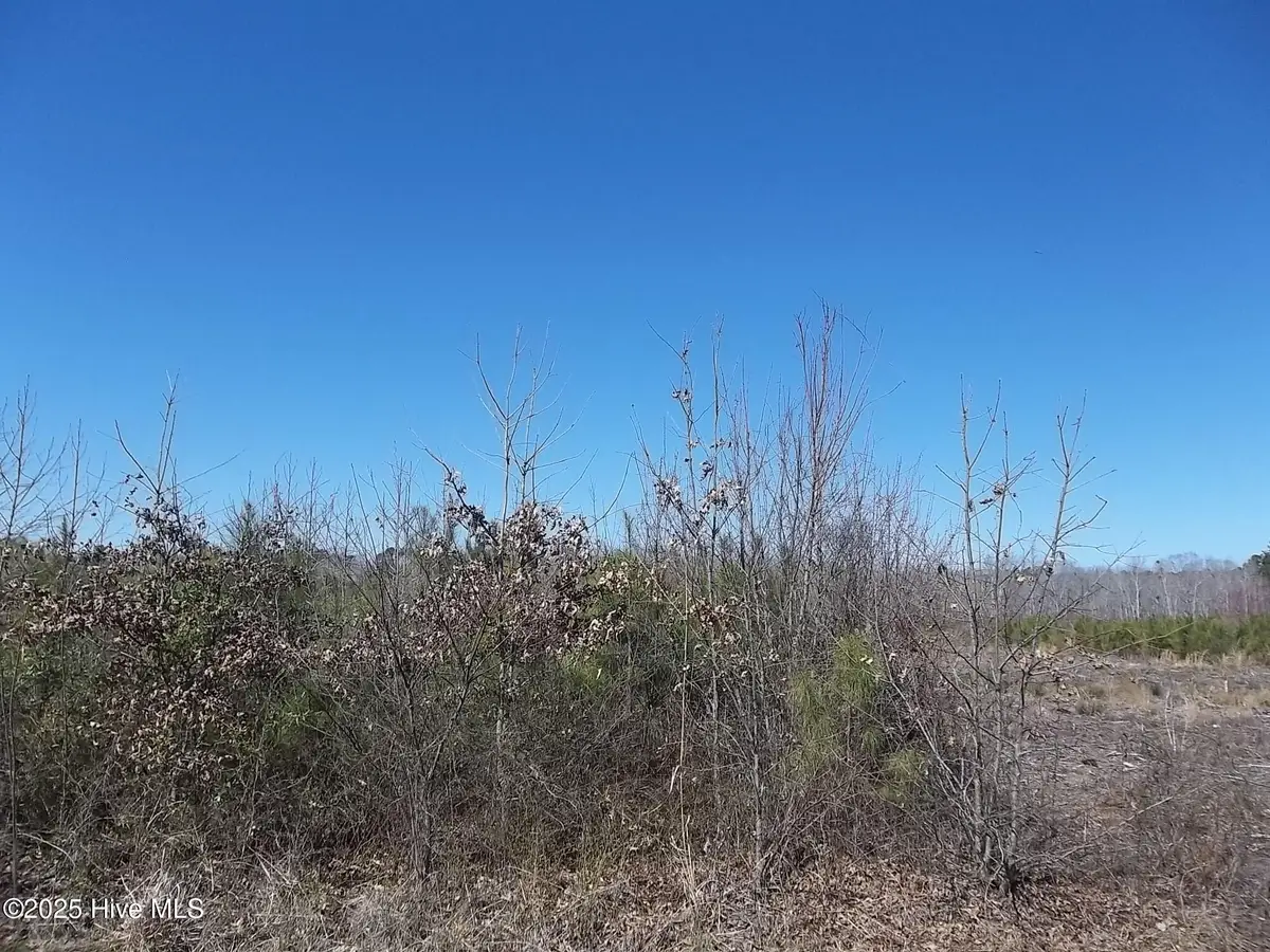 Lot# 6 Boat Ramp Road, New Hope, NC 27944 - Image #1