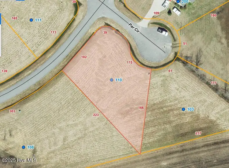 110 Pinehurst Drive, Mount Olive, NC 28365 - Image #1