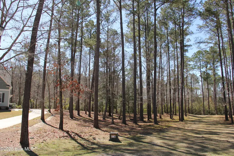 487 Hearthside Drive Se, Bolivia, NC 28422 - #3