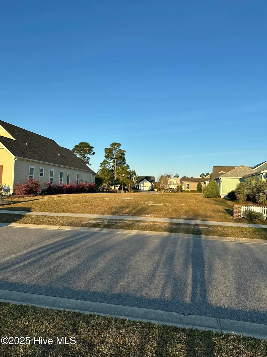 1315 Star Grass Way, Leland, NC 28451 - #2