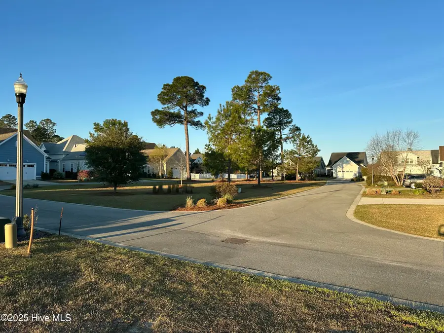 1315 Star Grass Way, Leland, NC 28451 - #3