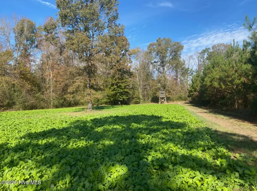 0 River Road, White Oak, NC 28399 - Image #2