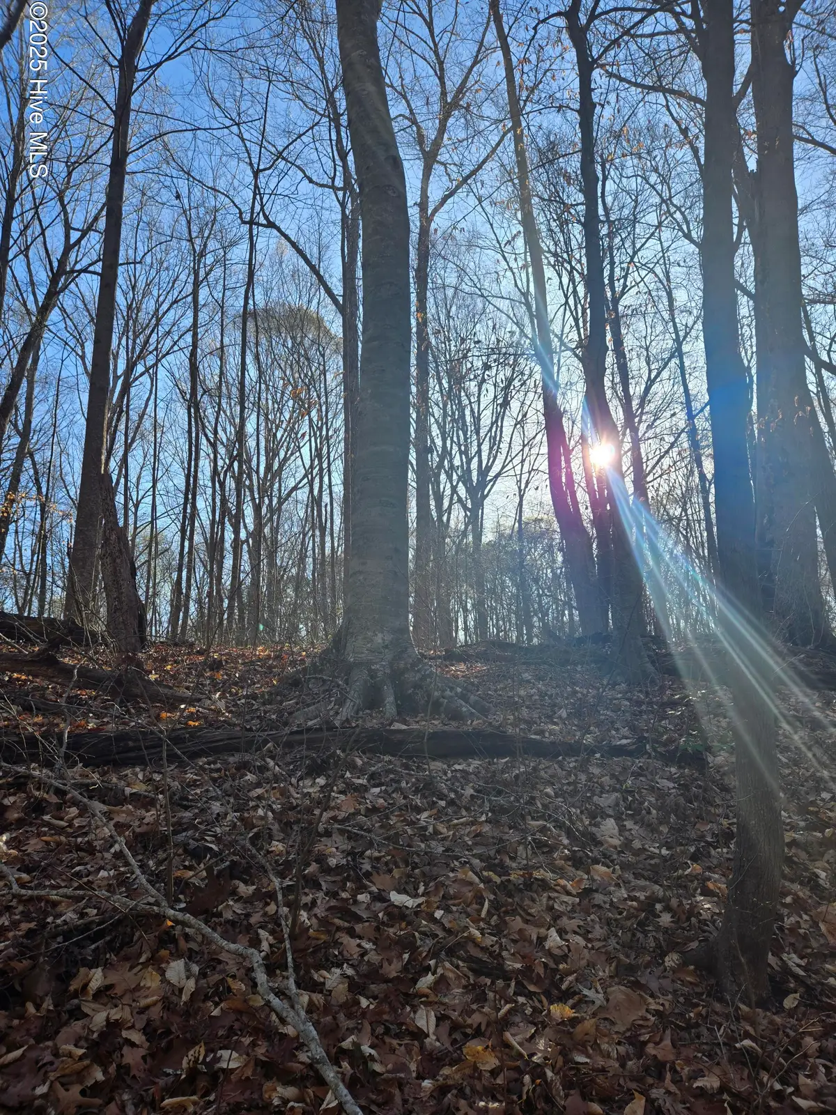 3739 Ballard Road, Williamston, NC 27892 - Image #1