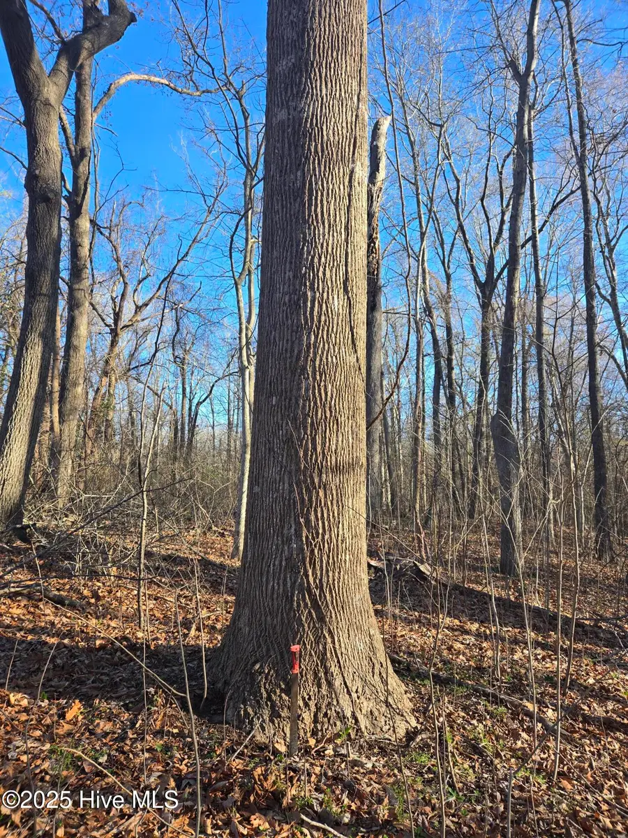 3739 Ballard Road, Williamston, NC 27892 - Image #2