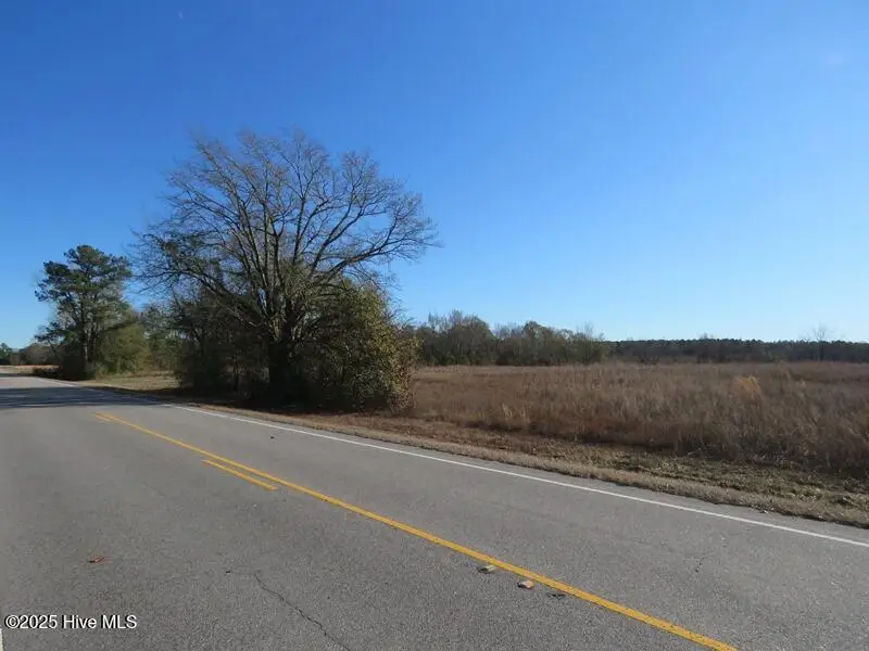 Tbd Nc 53 Highway E, Kelly, NC 28448 - Image #3