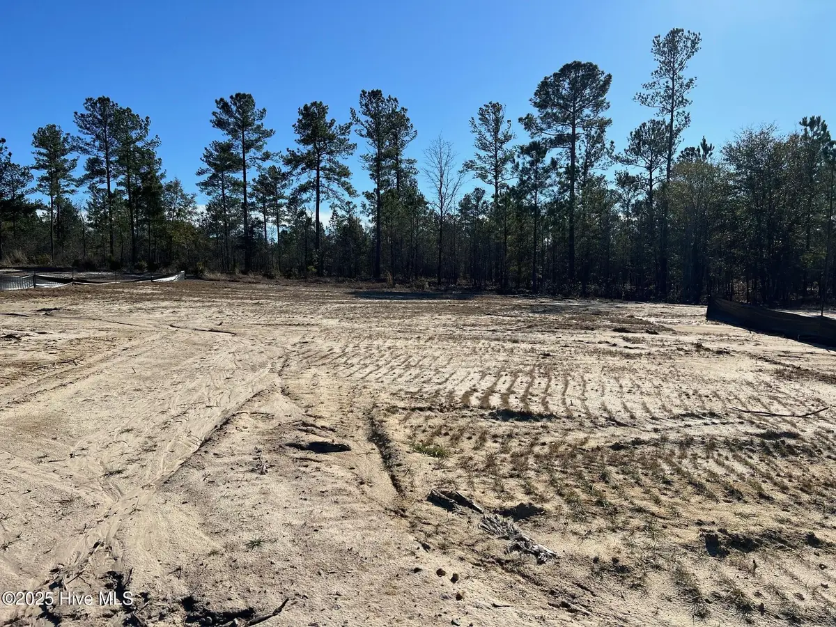 2918 W Timber Crest Lane Ne, Leland, NC 28451 - Image #1