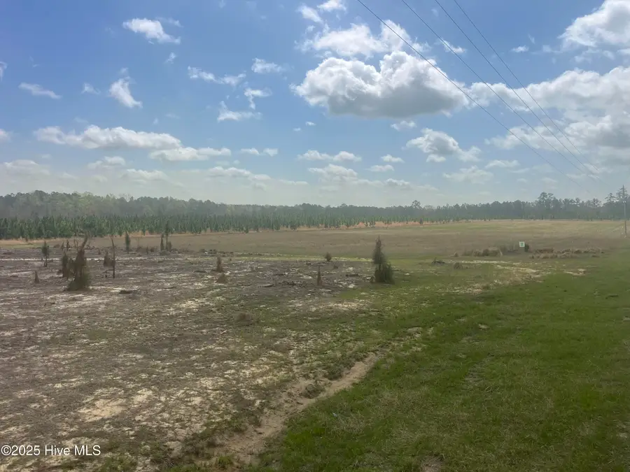 1641 Currie Mill Road, Jackson Springs, NC 27281 - Image #2