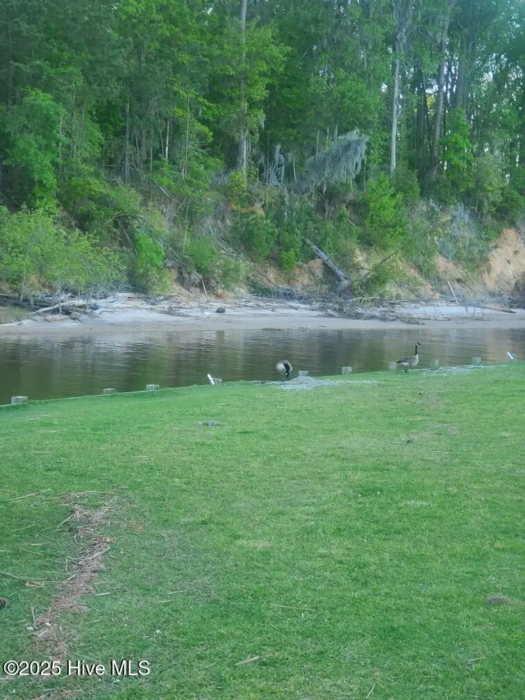 Lot 21 Cypress Drive, Blounts Creek, NC 27814 - Image #3