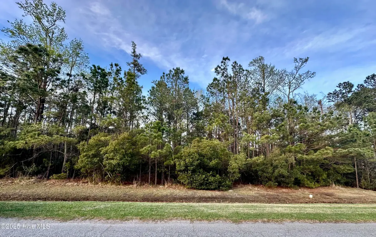 217 E Dowry Creek, Belhaven, NC 27810 - Image #1