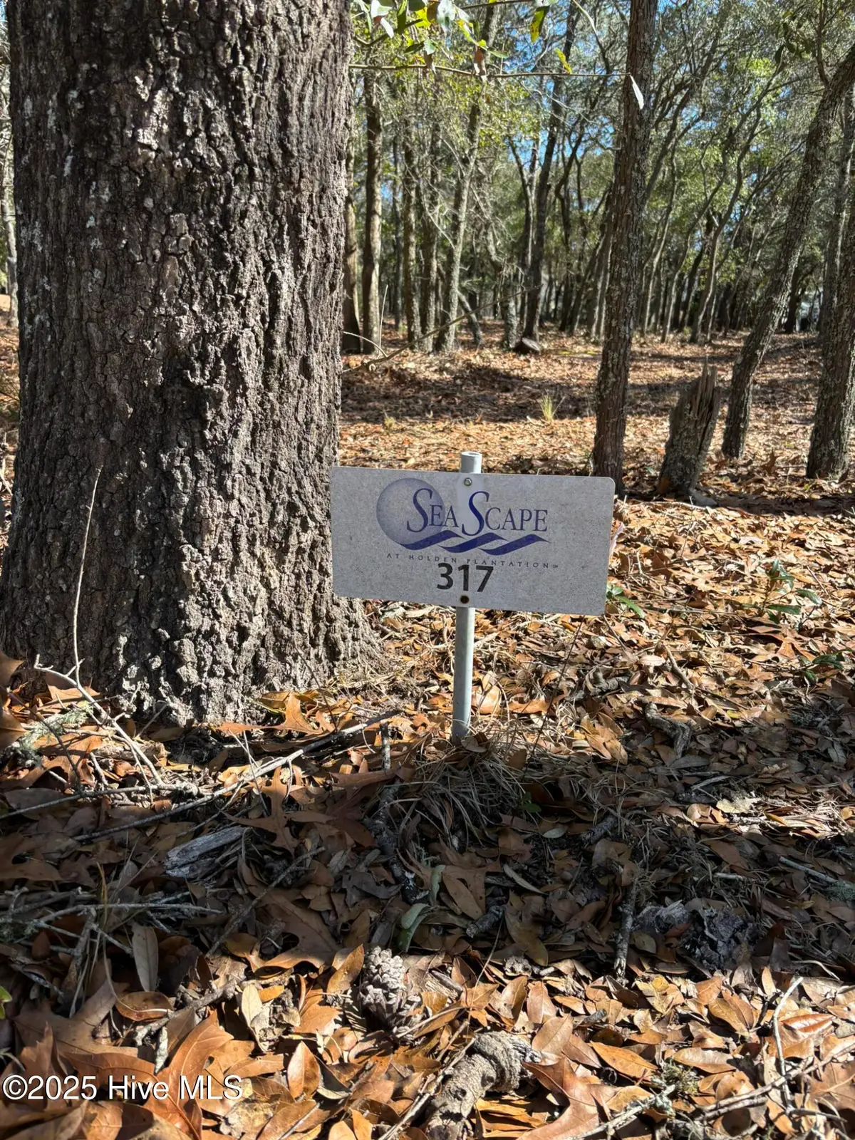 651 Valverda Street Sw, Supply, NC 28462 - #1