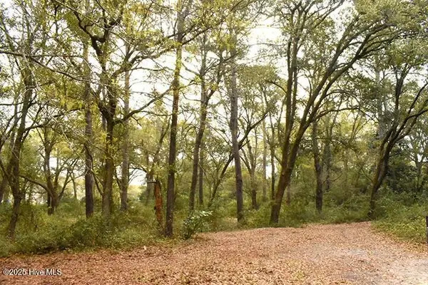 154 Cotherstone Court, Hampstead, NC 28443