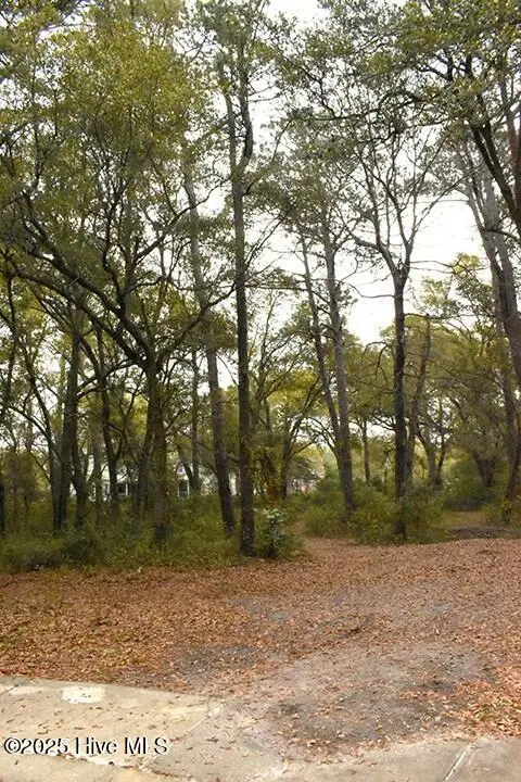 154 Cotherstone Court, Hampstead, NC 28443 - #2