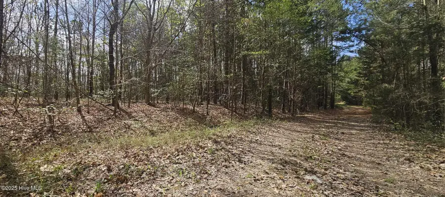 Lot 4 Leaman Road, Robbins, NC 27325 - Image #3