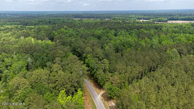 4ac Near Keith Rd & Canetuck Rd Road, Atkinson, NC 28421 - Image #2