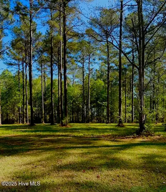 212 Dawson Creek Boulevard, Arapahoe, NC 28510 - Image #3