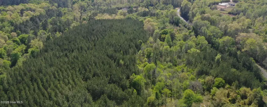 Tbd Nicholson Road, Rockingham, NC 28379 - Image #3