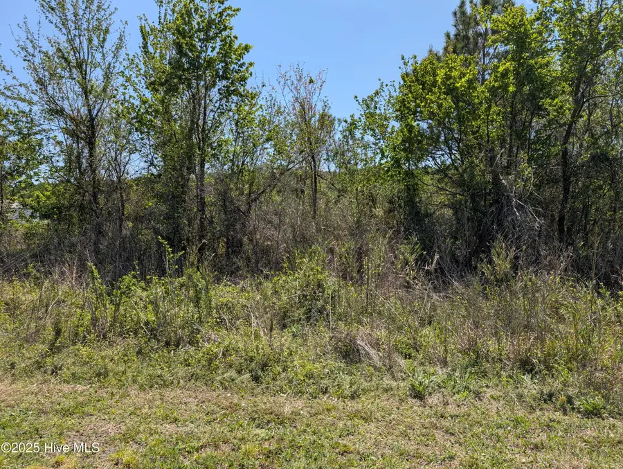 000 111, Chinquapin, NC 28521 - Image #3