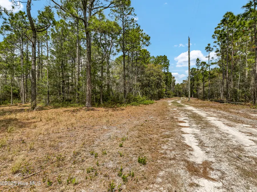 00 Old Whitfield Road, Hampstead, NC 28443 - #3