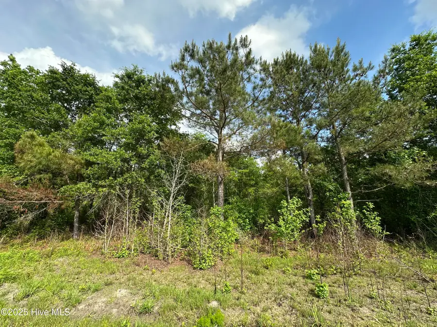 Tbd2 Mcgirt Road, Maxton, NC 28364 - Image #3