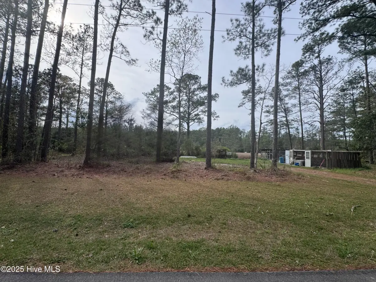 0 Pine Tree Lane, Mesic, NC 28515 - Image #1