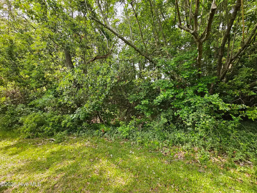 1203 Petite Terre Court, New Bern, NC 28560 - Image #2