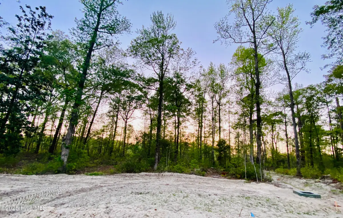 Lot 27 Plover Way, New Bern, NC 28562 - Image #1