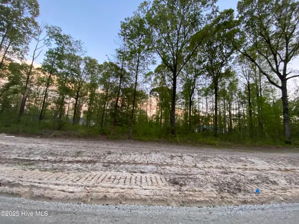 Lot 28 Plover Way, New Bern, NC 28562