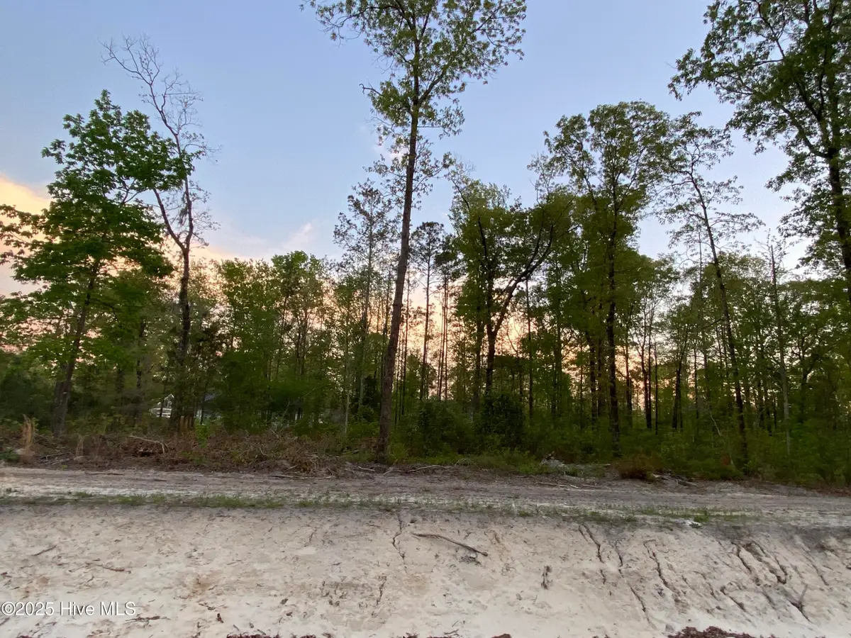 Lot 31 Plover Way, New Bern, NC 28562 - Image #1