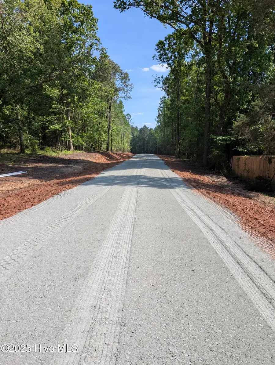 530 Fletcher Farms Way, Carthage, NC 28327 - Image #3