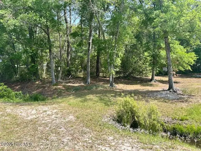 3082 Seashore Road Sw, Supply, NC 28462 - #1